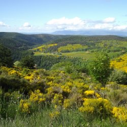 Ardèchoise 2016