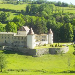 Beaujolais 2019