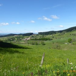 Beaujolais 2019