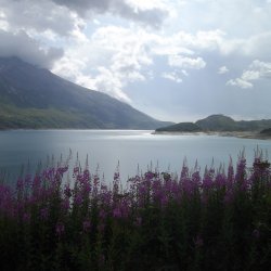 Iseran et Mont Cenis 2019