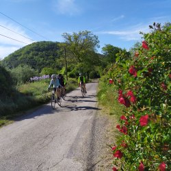 forcalquier